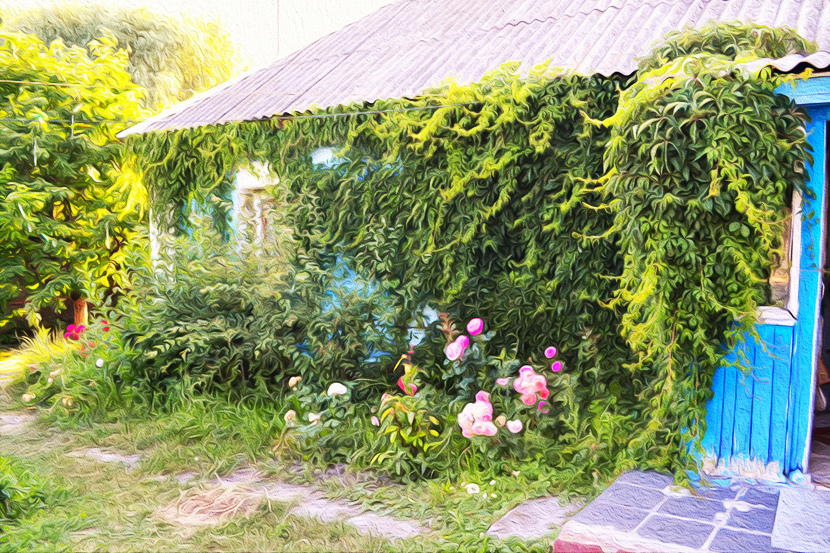 фото Дачи мой сад и огород